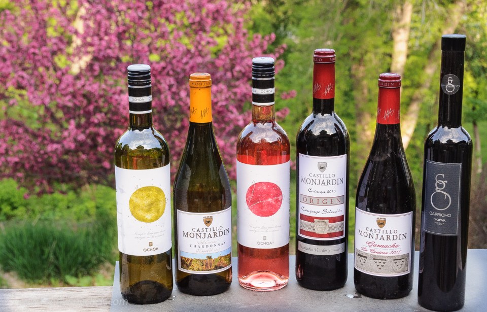 A variety of wines from Navarra Spain