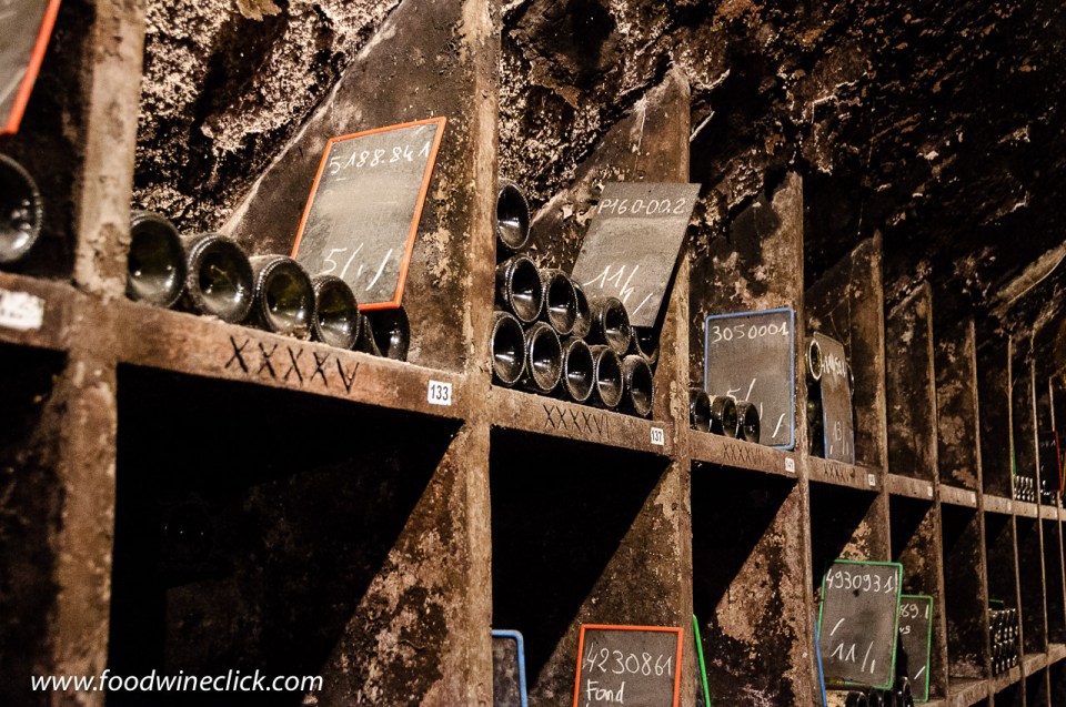 Cellar at Louis Max in Burgundy