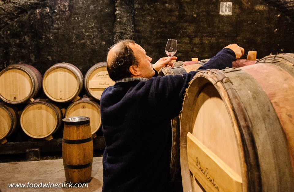 Cellar at Louis Max in Burgundy