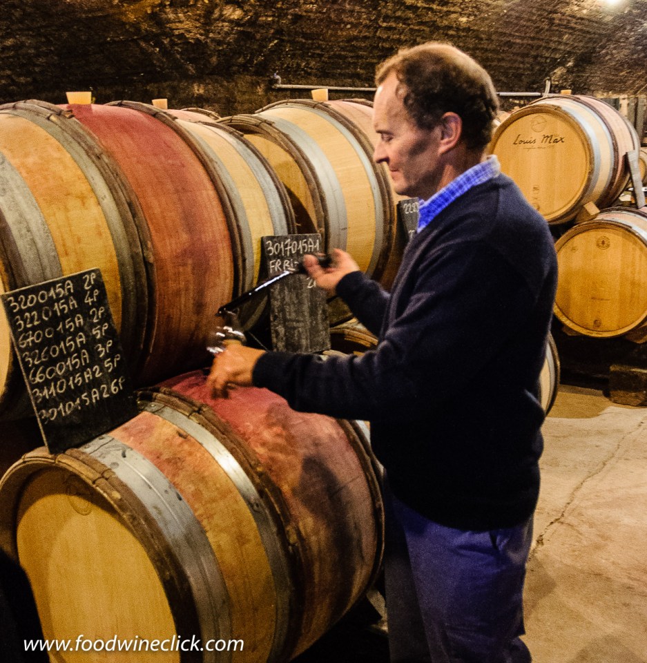 Cellar at Louis Max in Burgundy