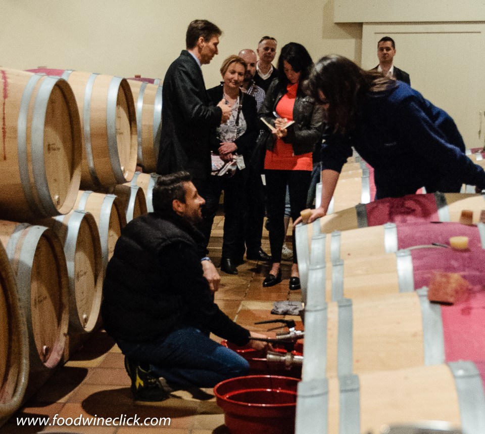 Château Phélan-Ségur winery