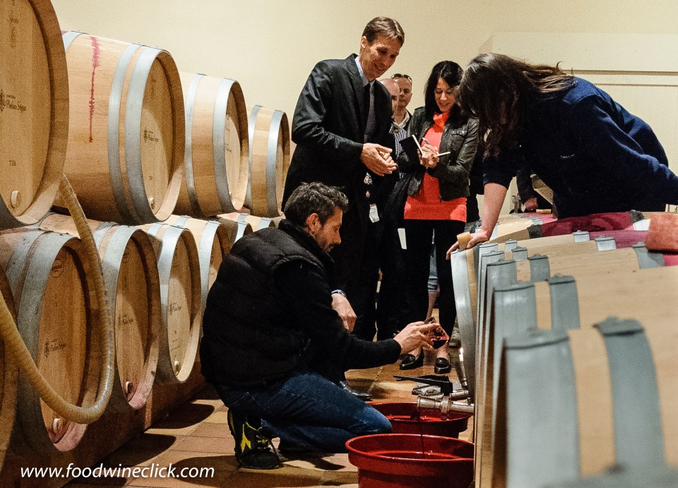 Château Phélan-Ségur winery