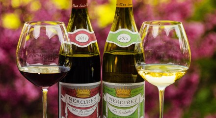 Domaine Louis Max wines from Burgundy