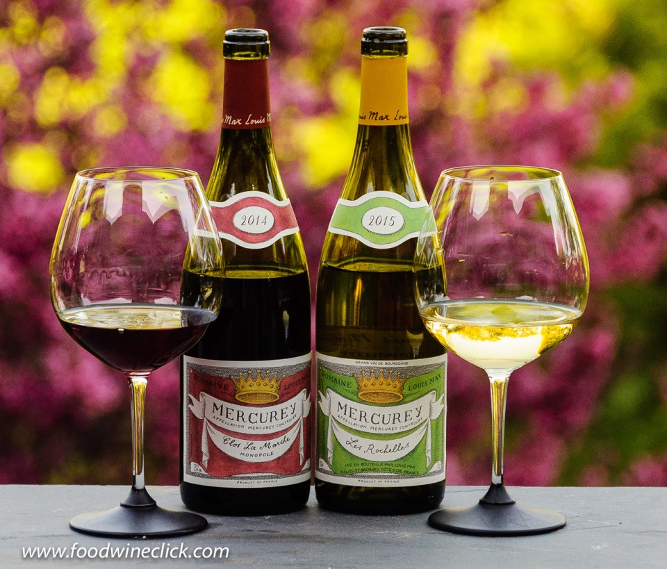 Domaine Louis Max wines from Burgundy