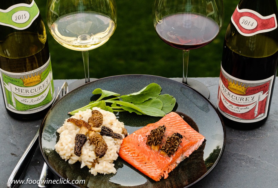 Morel mushroom risotto with cedar planked salmon, served with red and with Burgundy wines from Louis Max