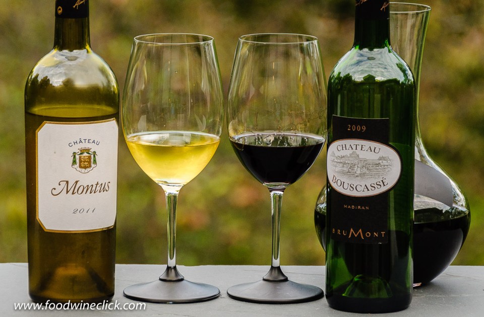 Pacherenc du Vic_Bilh and Madiran from Southwest France