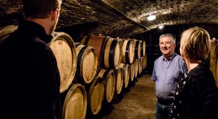 Aging wines at domaine Albert Boillot in Volnay