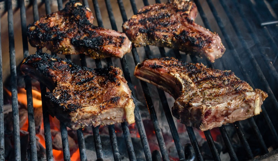 lamb chops on a Primo ceramic grill