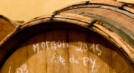 Domaine de la Bonne Tonne 2015 Morgon Cote du Py
