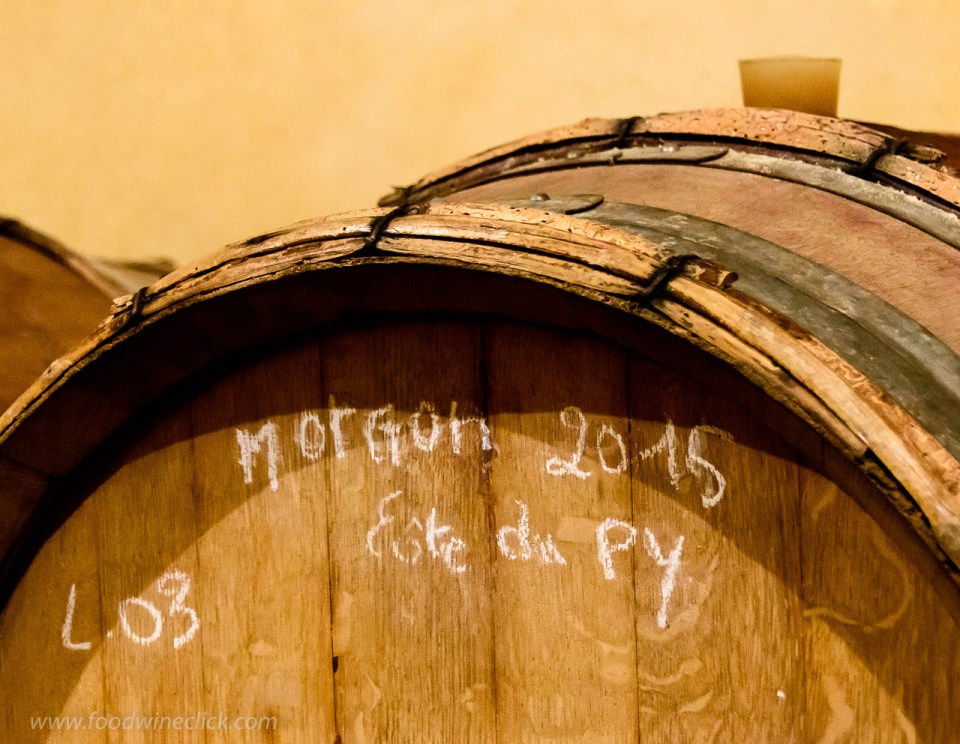 Domaine de la Bonne Tonne 2015 Morgon Cote du Py