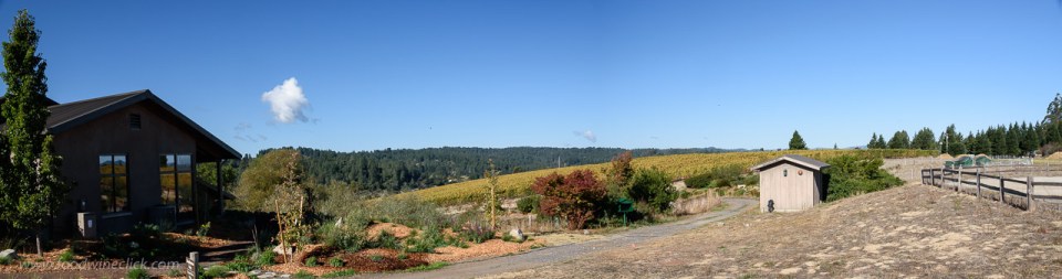 Pivot vineyard at Littorai Wines