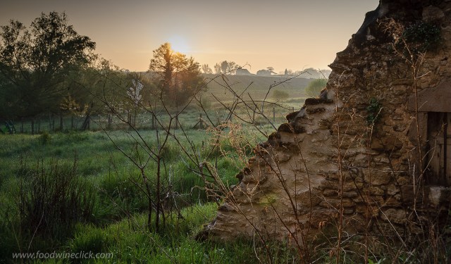Early spring morning in Sauternes, France