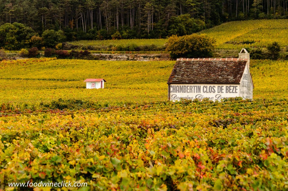 Chambertin Clos de Beze