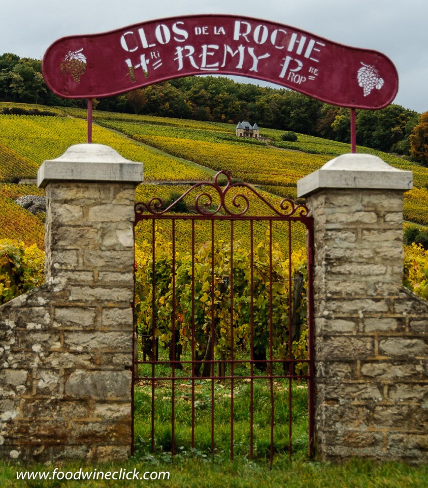 Clos de la Roche vineyard in Morey-Saint-Denis