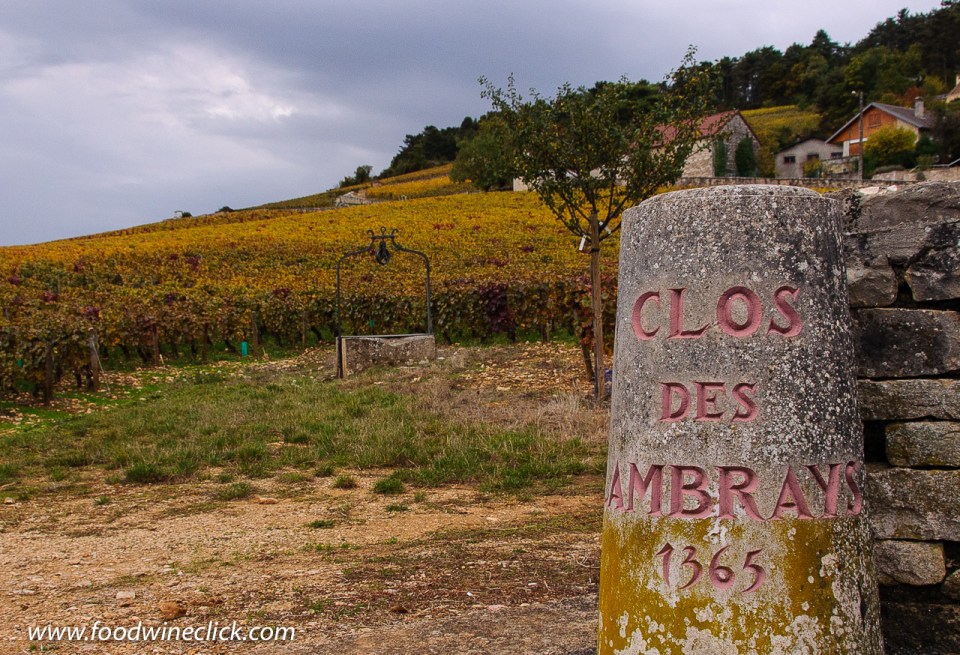 Clos des Lambrays Grand Cru Vineyard in Morey-Saint-Denis