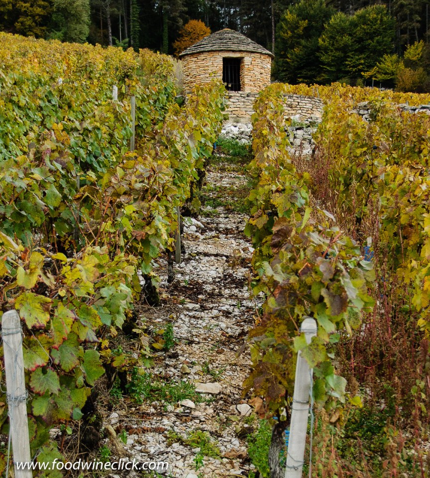 Clos des Lambrays Grand Cru Vineyard in Morey-Saint-Denis