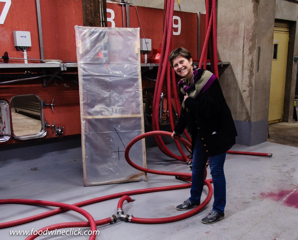 Domaine Pierre Amiot & Fils winery in Morey-Saint_Denis