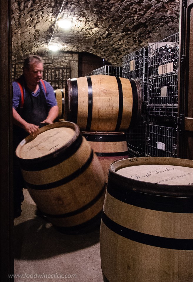 Domaine Pierre Amiot & Fils winery in Morey-Saint_Denis