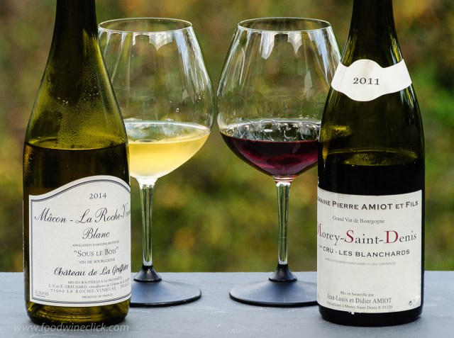 White and red burgundy wines