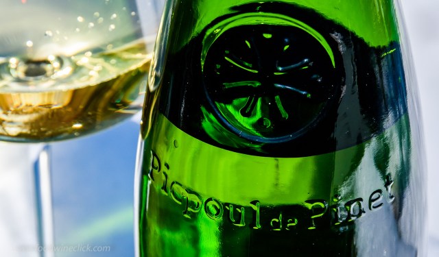 Embossed bottle of Picpoul de Pinet