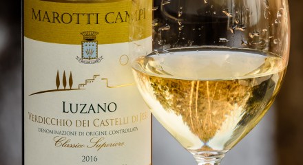 Get to know Verdicchio at www.foodwineclick.com