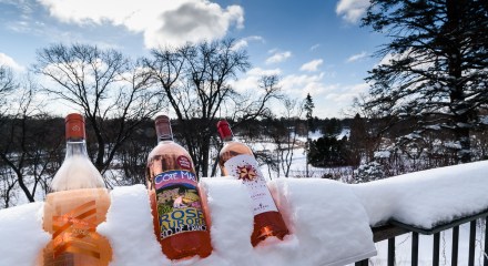 Rosé season in Minnesota accompanied by 15 inches of snow!