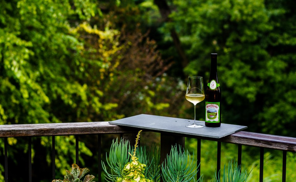 Granbazán Albariño in a beautiful backyard setting