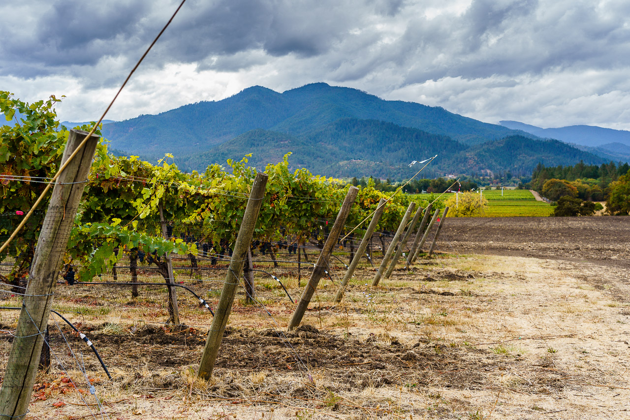 Troon Vineyard in the Applegate Valley in Oregon