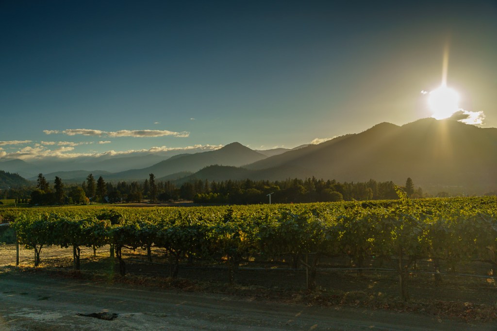 A late October afternoon at Troon Vineyard in the Applegate Valley in Oregon