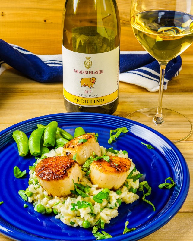 Seared scallops with spring pea risotto paired with Pecorino white wine from Saladini Pilastri