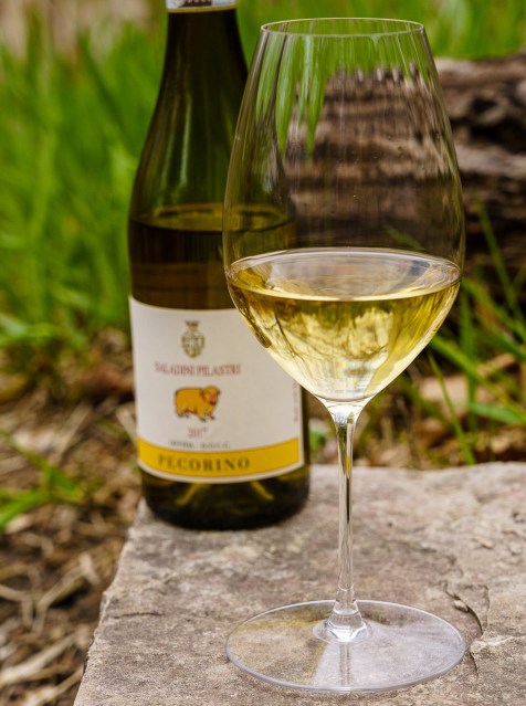 Pecorino wine in a Riedel Performance wine glass