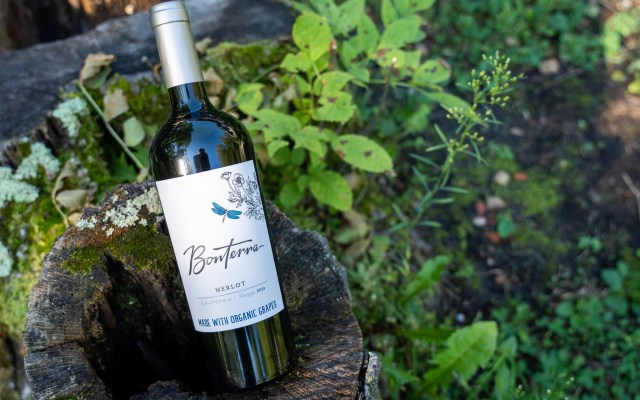 Merlot and 40 Cloves of Garlic #MerlotMe #WinePW | foodwineclick
