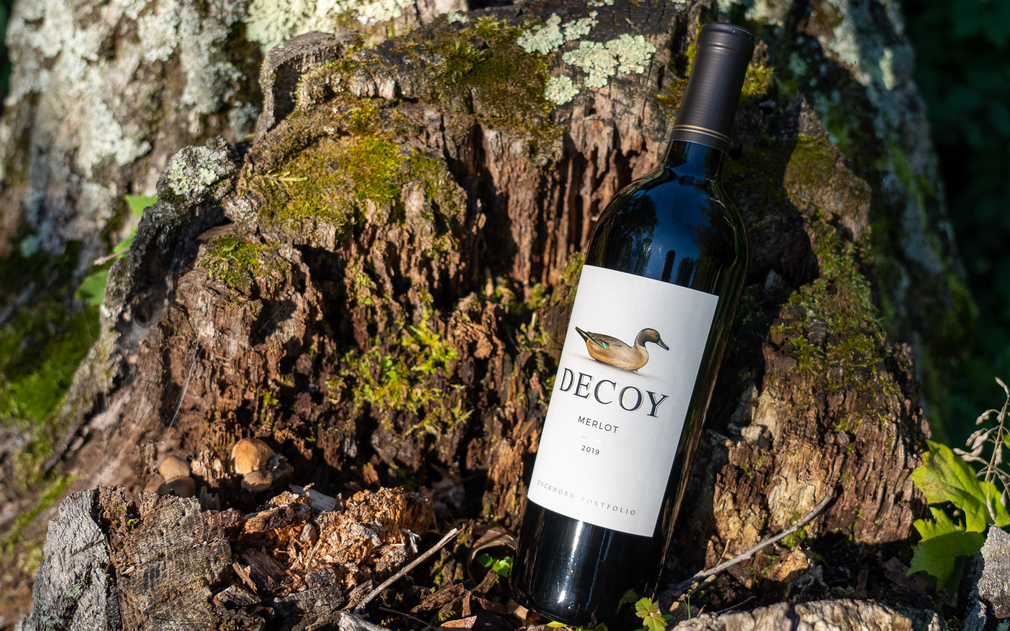 Merlot and 40 Cloves of Garlic #MerlotMe #WinePW | foodwineclick